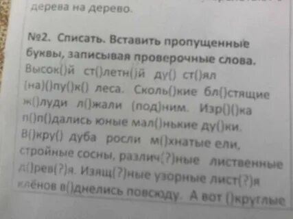 Списать вставить пропущенные буквы записывая проверочные слова