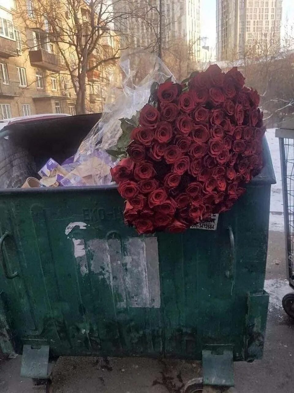 Кот в мусорке. Букет роз в мусорке. Выброшенные цветы. Цветы в мусорке зимой. Розы в помойке.