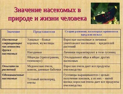 Выполняемая функция насекомых