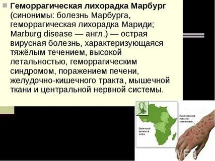 Лихорадка марбург клинические рекомендации