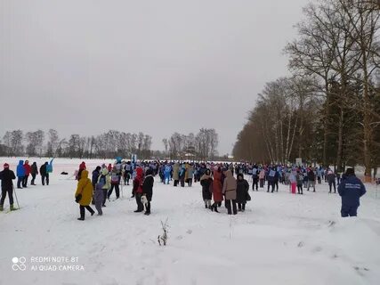 Кострома лыжня