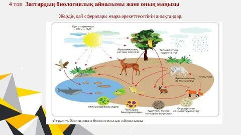 Аюрведа тантриялық секс