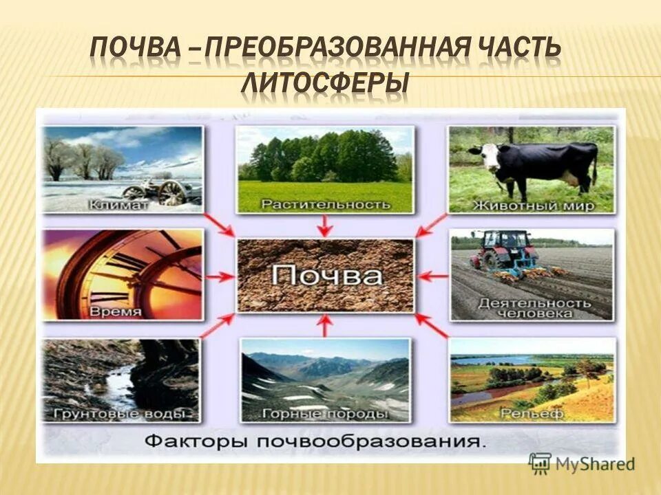 Почвы России 4 класс окружающий мир. Почвы России доклад 3 класс. 4 Класс презентация урока "почвы России".