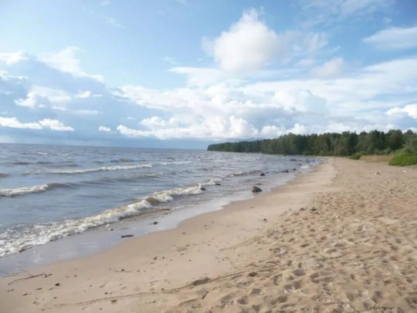 Рыбинские пляжи. Пляж Бобарино Рыбинское водохранилище. Милюшино Рыбинское водохранилище. Крестцы Рыбинское водохранилище пляж. Милюшино Рыбинское водохранилище пляж.