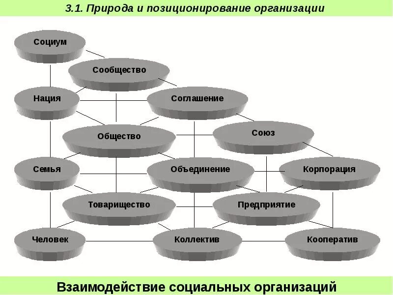 Программы социума. СОЦИУМ организация. Организация СОЦИУМ .МС. Активное участие в позиционирование учреждения. Пример маркетизации социума.