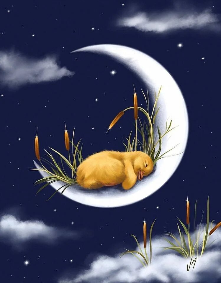 Нарисовать спокойной ночи. Картина доброй ночи. Добрых снов с животными. Пожелания спокойной ночи с животными. Открытки спокойной ночи.