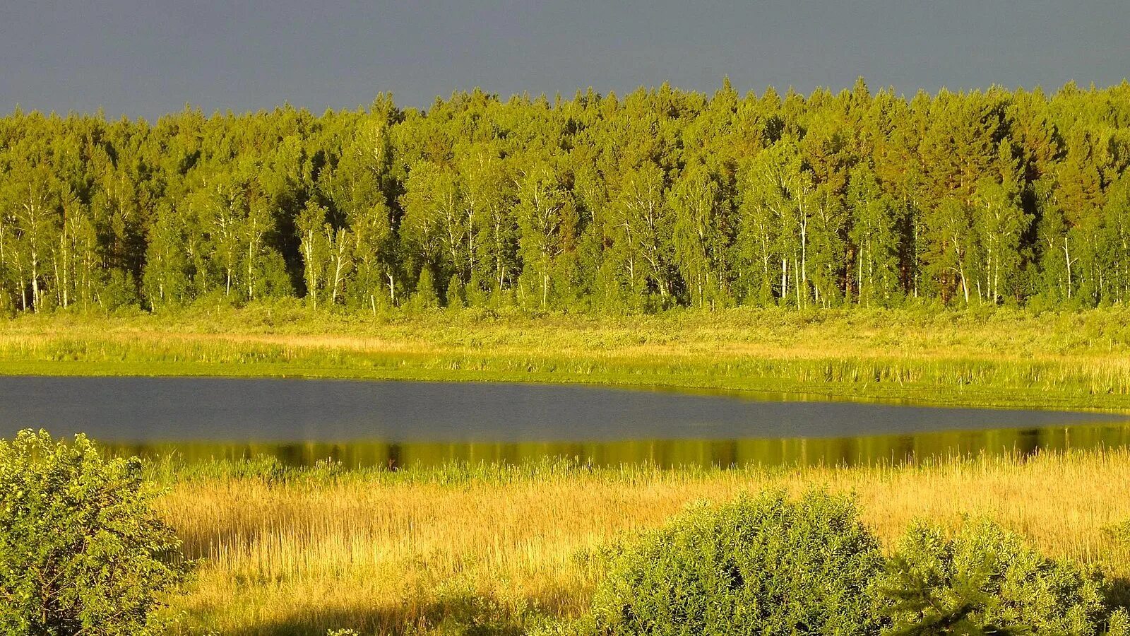 Река ик курганская область. Природа Зауралья Курганская область. Тобол (река) река. Курганская область природа Зауралья река Тобол.