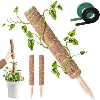 Plant supports