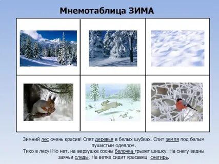 Тесты по теме зима