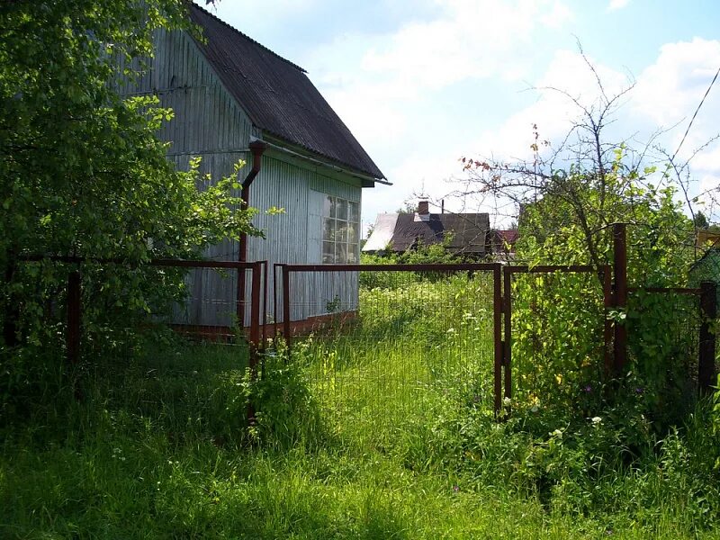 московские дачи. дача в подмосковье. снт ясенка солнечногорского района. дачи подольский район. 4 дачи московская область.