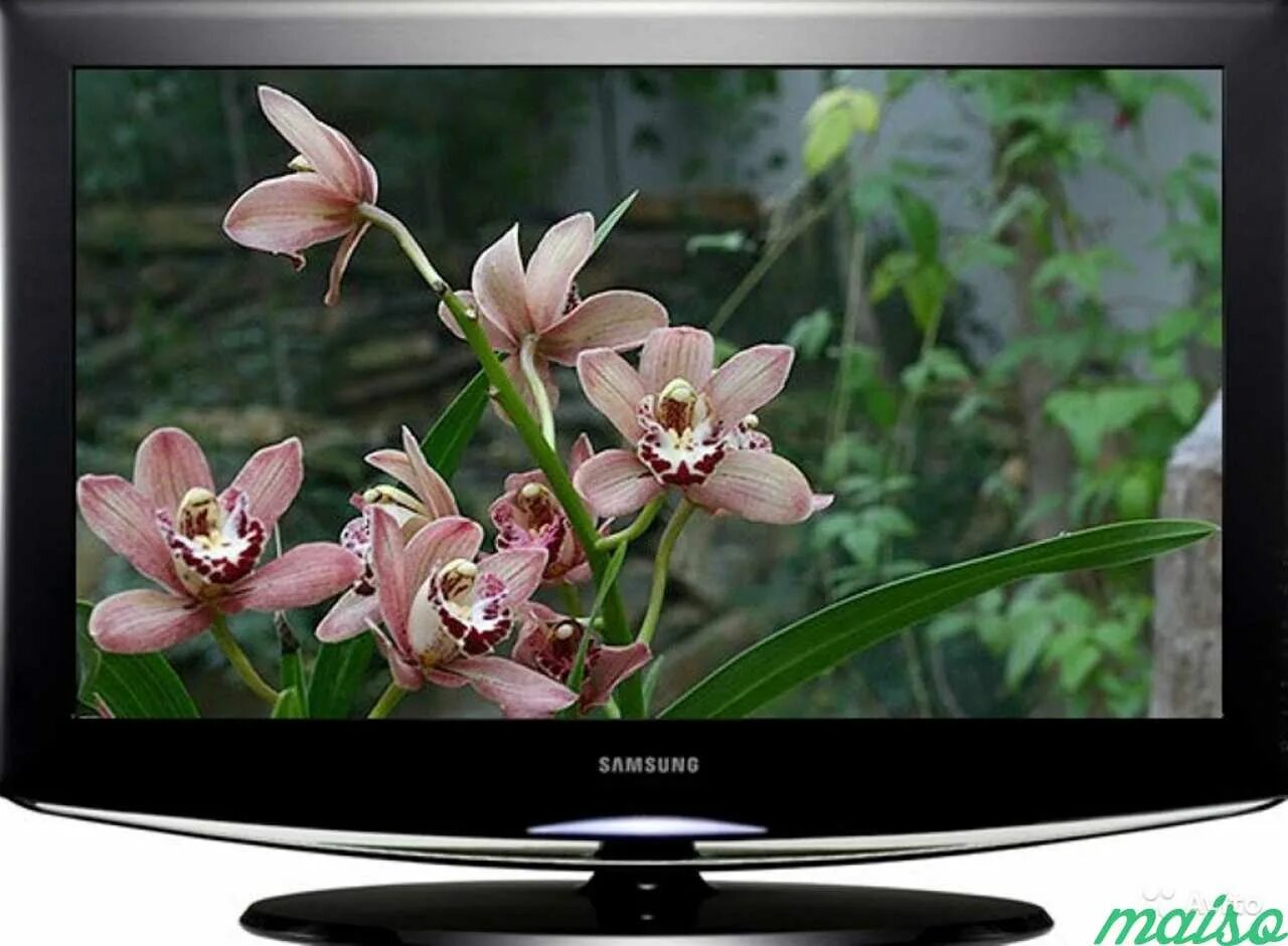 26 см телевизор. Samsung le32s81b. Телевизор самсунг le32s81b. Телевизор Samsung le-32s81b 32". Телевизор ЖК Samsung le32s81b 32.