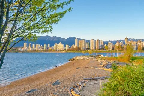 Playerok vancouver