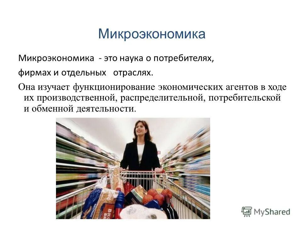 Микроэкономика работы. Микроэкономика работы. Микроэкономика. Микроэкономика. Микроэкономика работы.