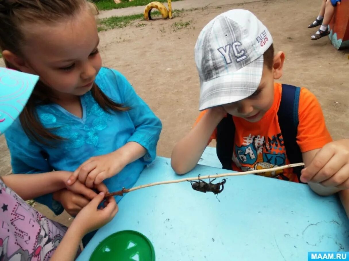 Наблюдение за жизнью муравьев. Дети наблюдают за природой. Дети наблюдают за насекомыми. Экология муравьи санитары леса. Уход за муравьиной фермой.