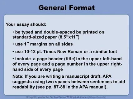 Animals essay