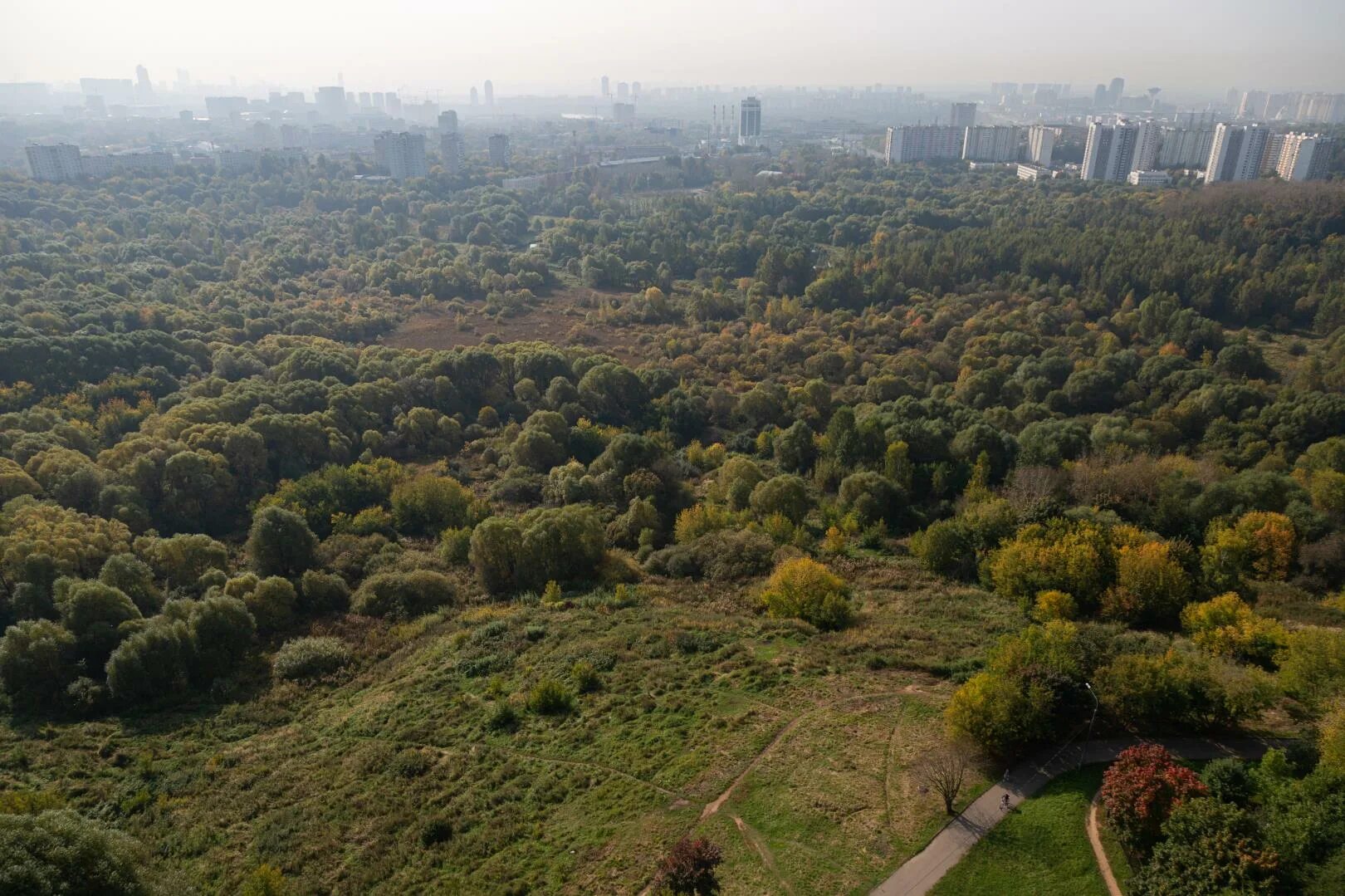 Загадочный район. Москва Матвеев кий лес. Матвеевский лес Москва. Матвеевский парк. Виды Москвы лес.