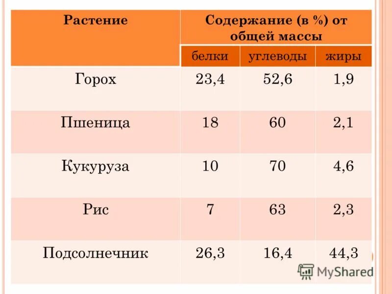 Фасоль пищевая ценность. Содержание белков в горохе. Количество белка в горохе. Горох содержит белок. Сколько ЮЕЛКА В горохе?.