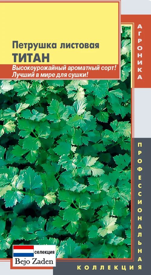 Петрушка риалто листовая /престиж/ 1гр. Петрушка отзывы. Петрушка листовая раннеспелые сорта. Семена петрушка листовая итальянский богатырь 2г. Петрушка итальянский гигант 2 гр агросидстрейд.
