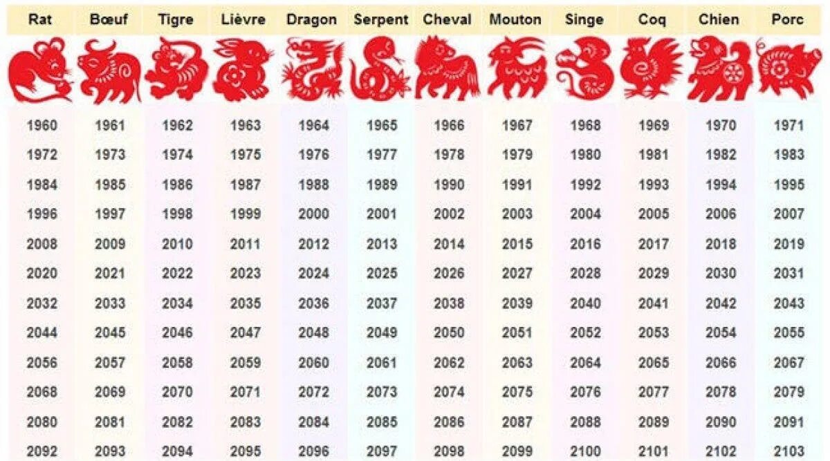 Следующий год по китайскому гороскопу. Символ следующего года. 2022 Год какой год. Какой следующий год. 2023 год общения