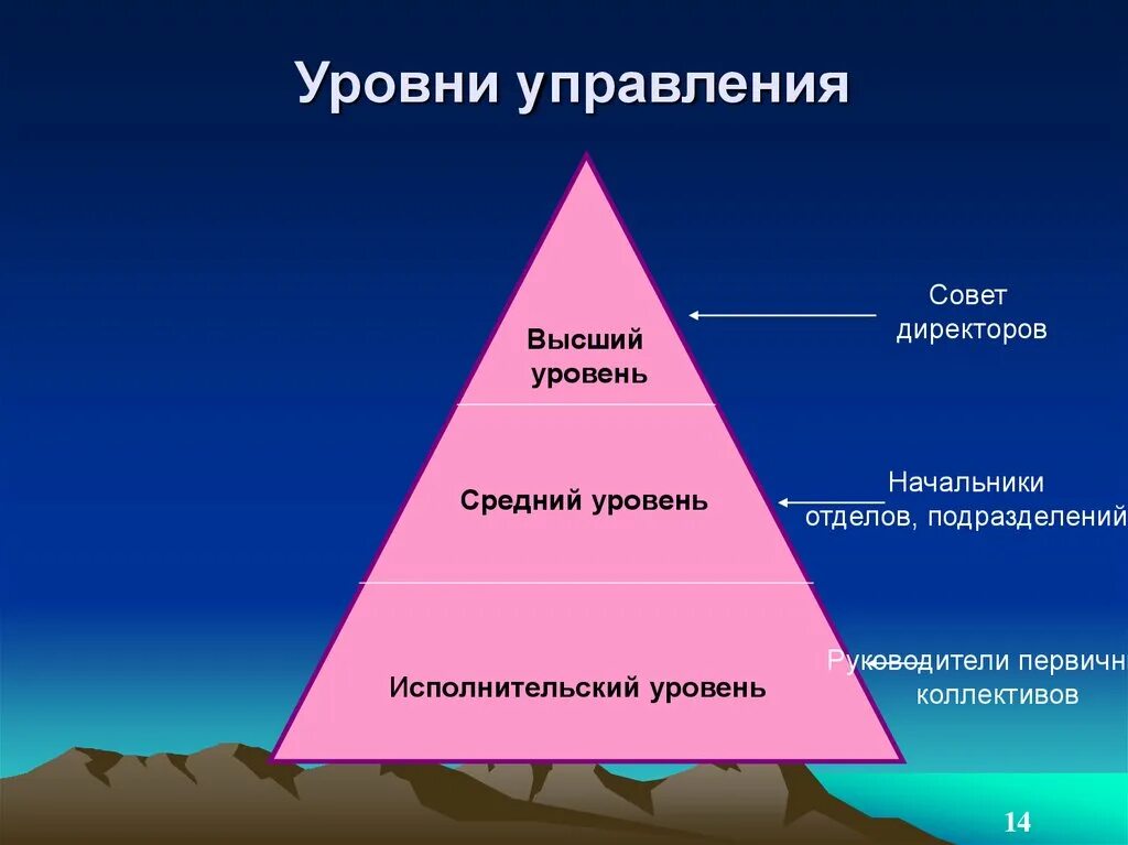 Исполнительный уровень управления