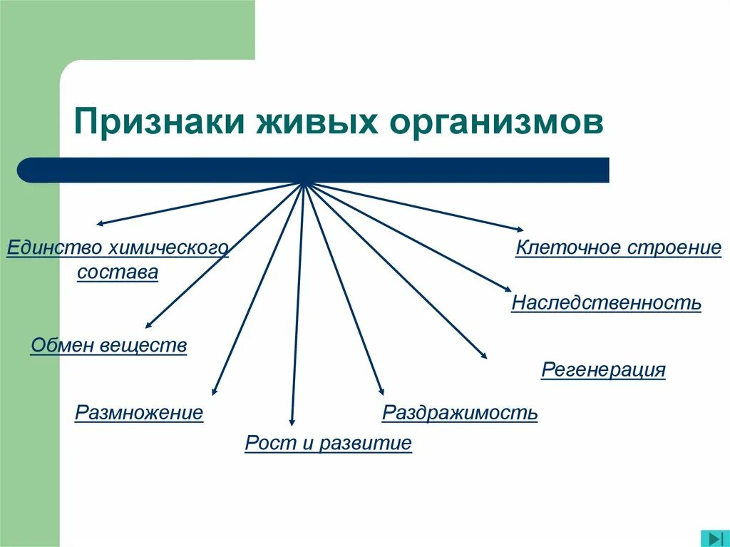 Основной всего живого является. Признаки живых организмов. Признаки живыъь организмов. Признаки живых организмов биология. Приданки живого организма.