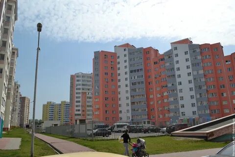 Красные кусты старый оскол