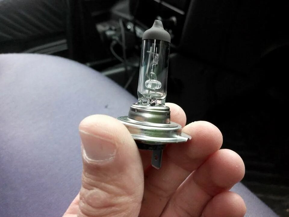Киа спектра 2008 лампы ближнего света. Лампа на противотуманки киа спектра 2008. Лампа ближнего света киа спектра 2007. Лампа на киа спектра 2006 ближний свет. Цоколь ближнего света киа спектра 2006.