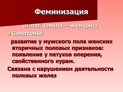 Женщины вторичный