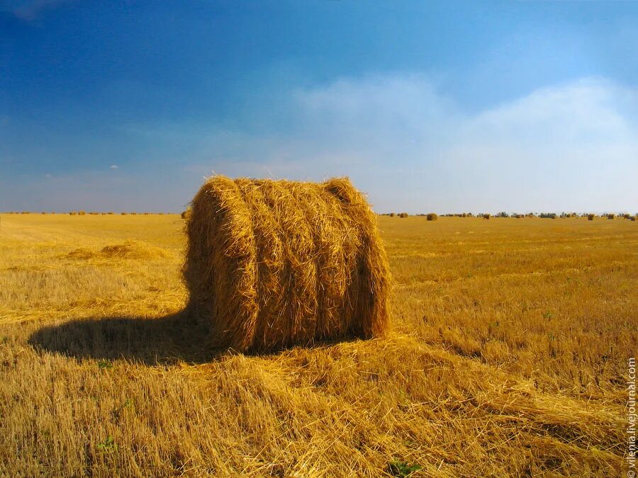 скирда омёт копна. солома для детей. солома в тюках. фс 22 стог сена соломы. Field of hay bales.