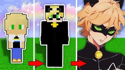 Скин супер кот