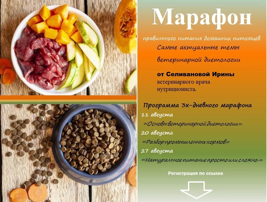 тестирование диетология. ветдиетолог. Vetdietolog добавка. ветдиетолог программа. визитка диетолога.