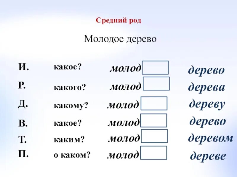 Склонение слова зайцев. Склонение имен прилагательных карточки. Склонение имен прилагательных задания. Склонение имен прилагательных 3 класс задания. Склонение прилагательных 3 класс задания.