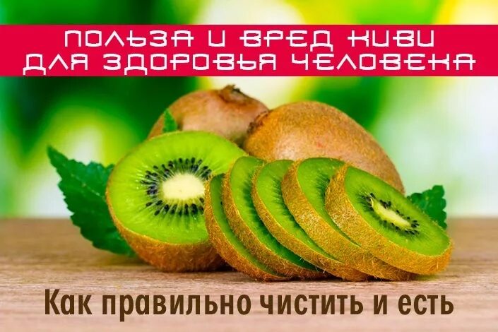 Киви фрукт вред. Киви для здоровья. полезность киви для организма человека. киви плоды польза и вред для здоровья. киви польза и вред для здоровья человека.