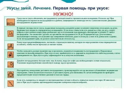 Место наложения жгута при укусе ядовитых змей