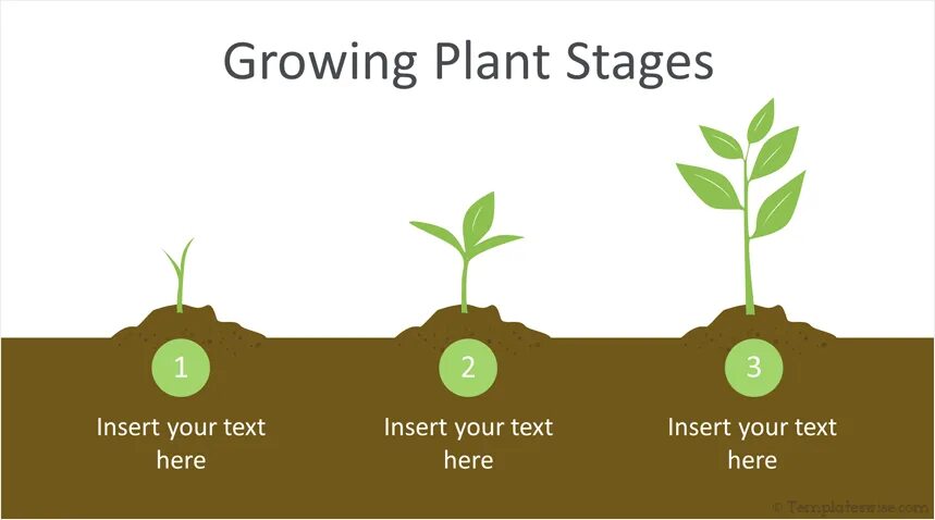 Инфографика растения. Инфографика растительная. Инфографика растительность. Инфографика рост растений. Grow while