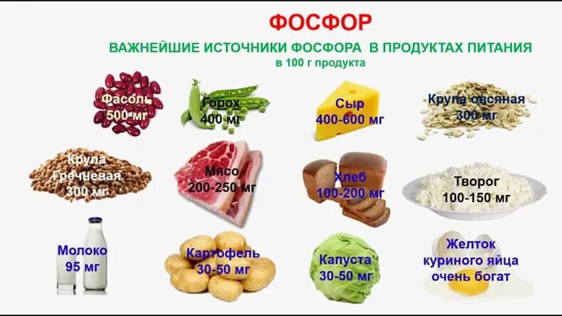 Поступление фосфора в организм