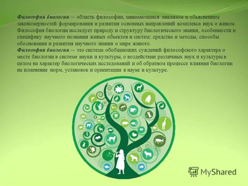 проживание биологического на одном месте