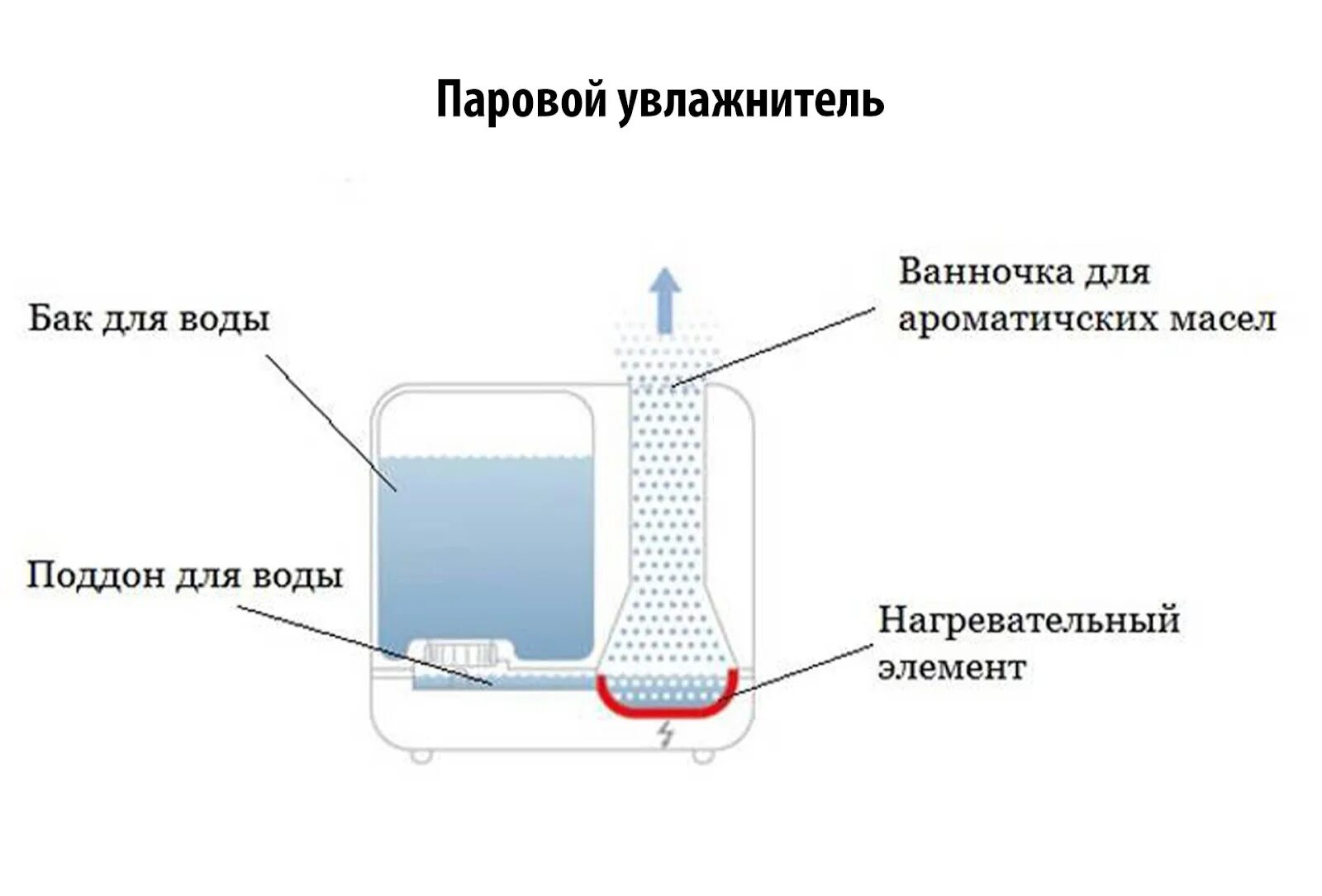 Сколько воды увлажнителя. Принцип действия ультразвукового увлажнителя воздуха. Паровой увлажнитель принцип работы.