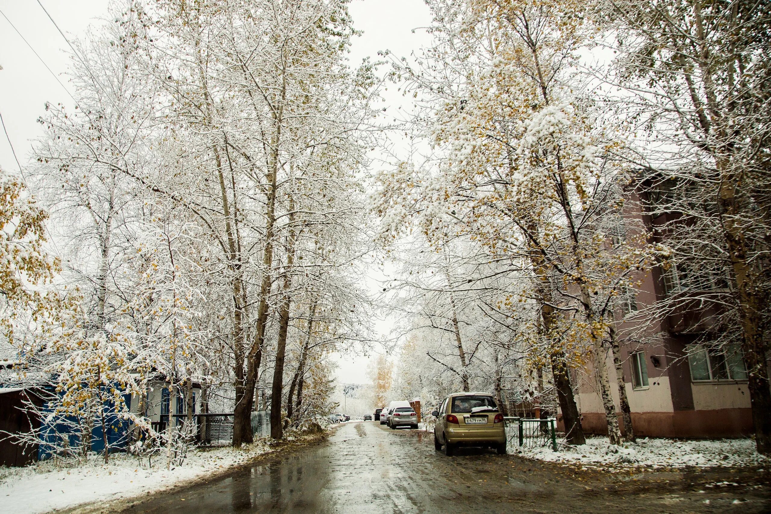 Толстого 1 снег. Снегопад в городе. Снег в городе фото. Первый снег в городе. Фото первого снега.