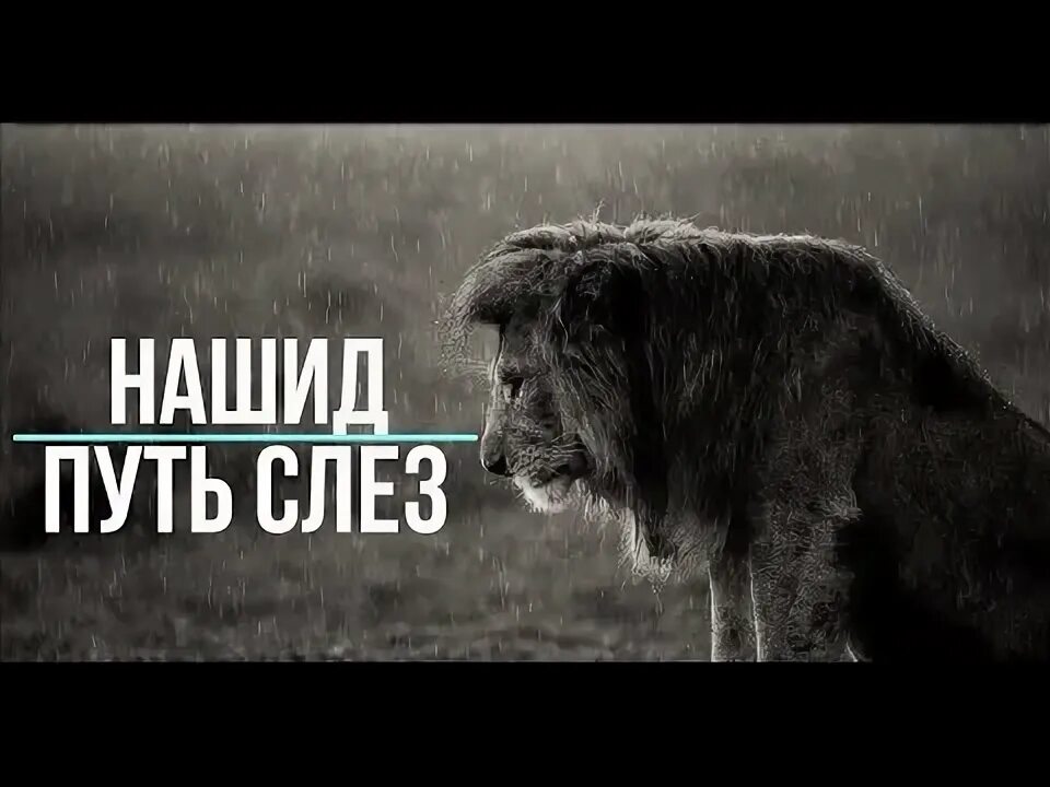 The way of the tears speed up. Путь слёз нашид. Нашид путь слёз Ислам нашидов. Нашид путь слез текст. Путь слёз Мухаммад Мукит.