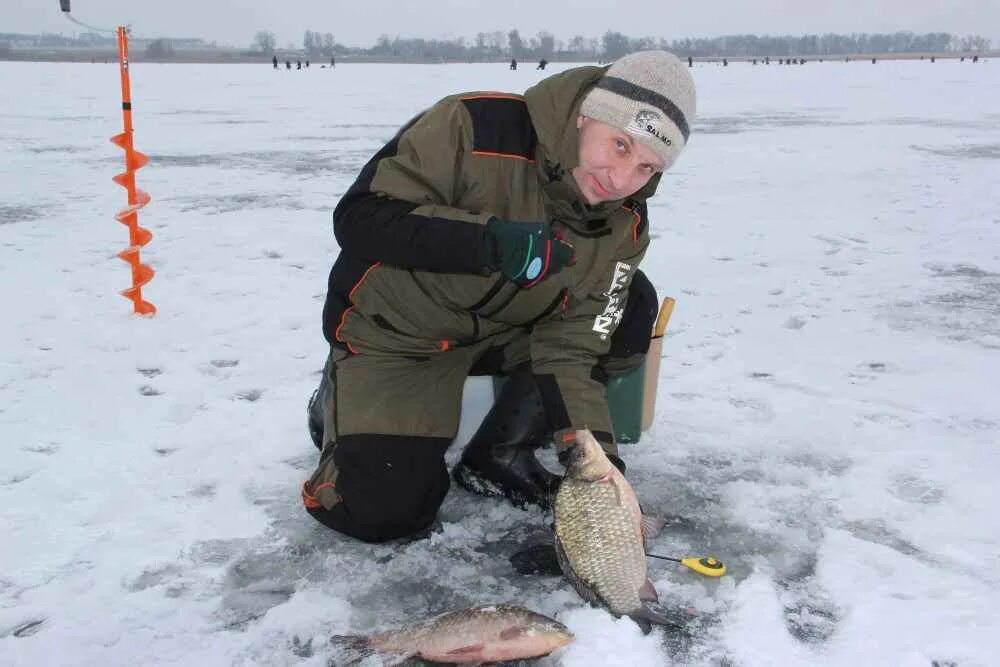 Где зимой карась. Ловля карася зимой. Зимняя рыбалка на карася. Пруд зимой рыбалка. Ловля карася зимой со льда.