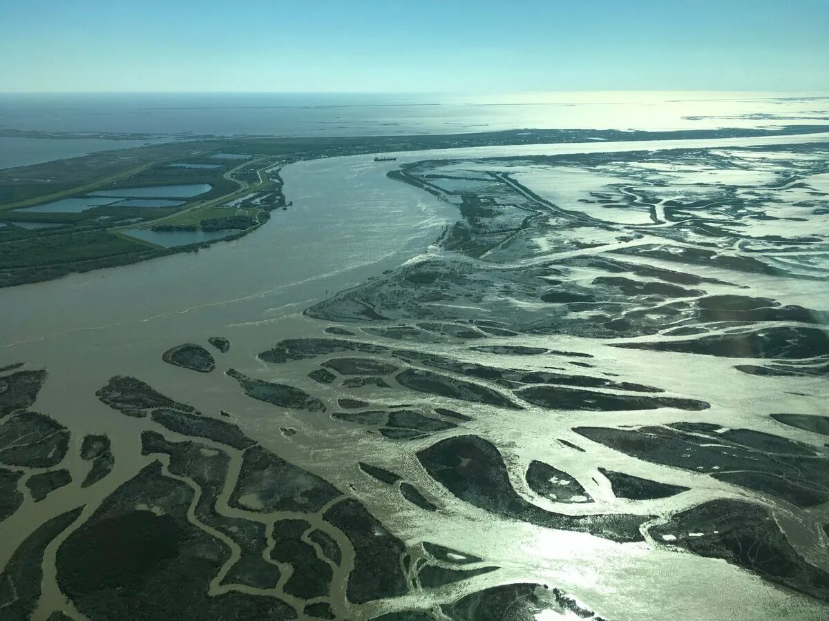Дельта волги дельта лены. Дельта реки северная двина. Устье реки кама. Река устье дельта лена. Река цивиль в чувашии.