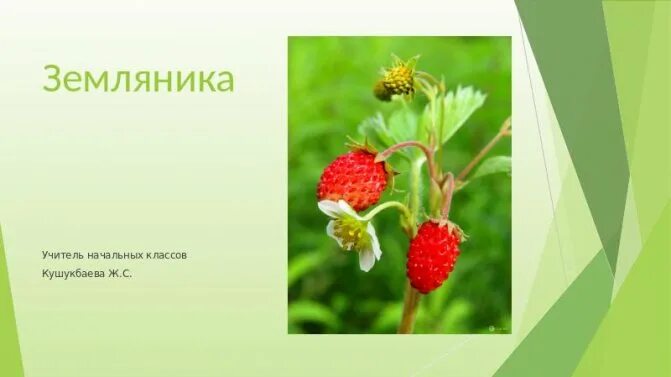 Учитель школьник верблюд земляника 2 класс. Упражнение 75 2 класс. Упражнение 75 2 класс. Русский язык 2 класс упражнение 75. Учитель школьник верблюд земляника 2 класс.