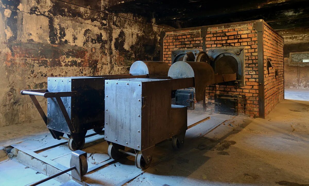 Освенцим газовые камеры циклон б. Вошли в газовые камеры с детьми. Лагерь дахау газовые камеры. Газовые камеры в концлагерях. Мальчик в полосатой пижаме концлагерь.