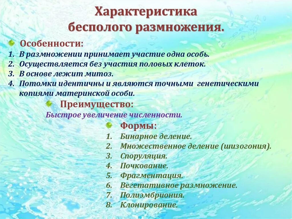 В половом размножении участвует одна особь. Потомки идентичны родителям Тип размножения. Почему при бесполом размножении потомки идентичны родителю.