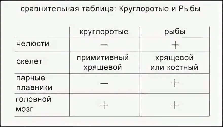 Рыбы сравнение таблица. Таблица характеристика классов рыб. Сравнительная таблица хрящевых и костных рыб. Сравнение костистых и хрящевых рыб. Сравнительная характеристика рыб.