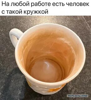 Cup like