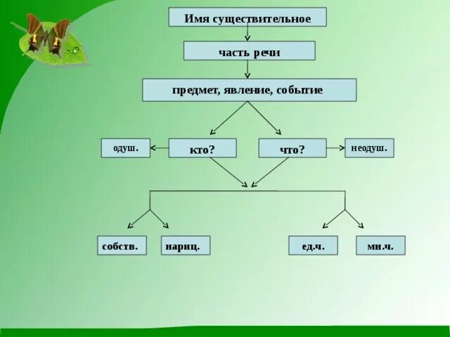 Обобщение имя существительное 5 класс презентация