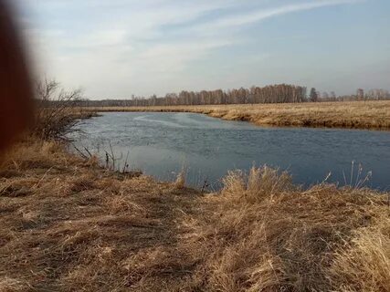 Погода в новоархангелке
