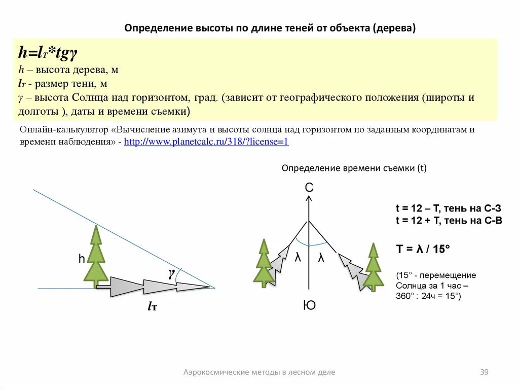 Измерение высоты дерева по тени. Измерение высоты по длине тени. Определение высоты объекта. Методы определения высоты дерева по тени. Измерение длины объекта упорядочение по длине